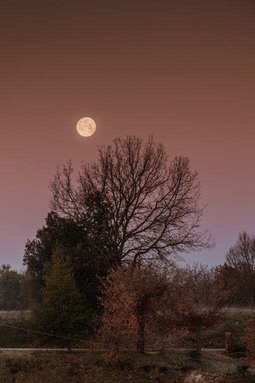 Inverno al crepuscolo