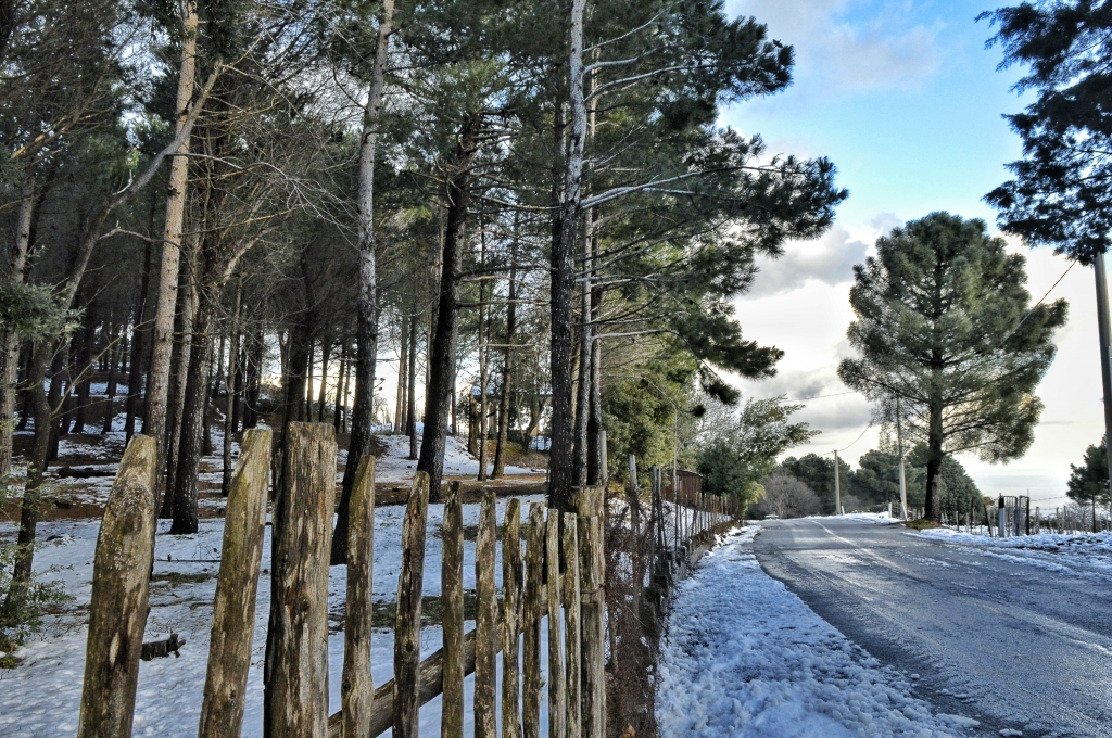 Strade silenziose