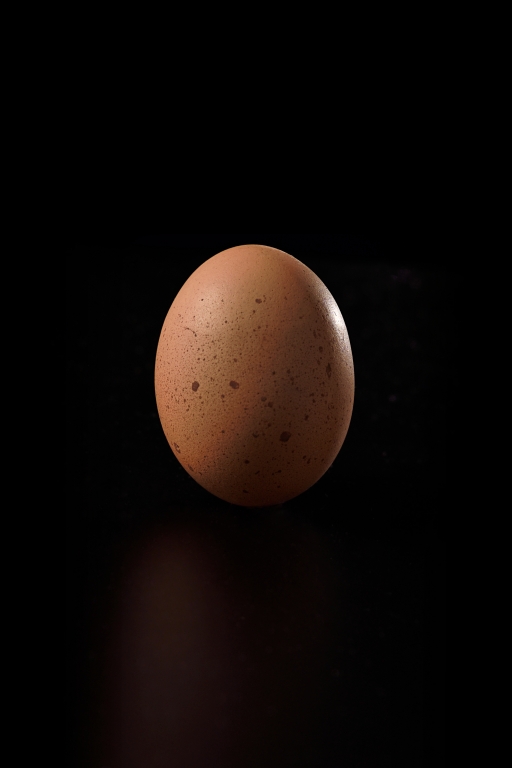 EGG