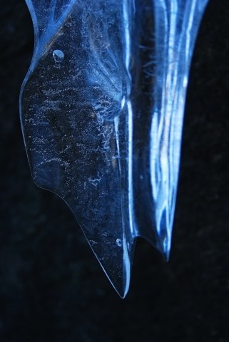 frozen moments · spampinatog