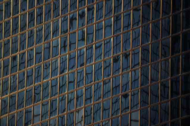 windows #1