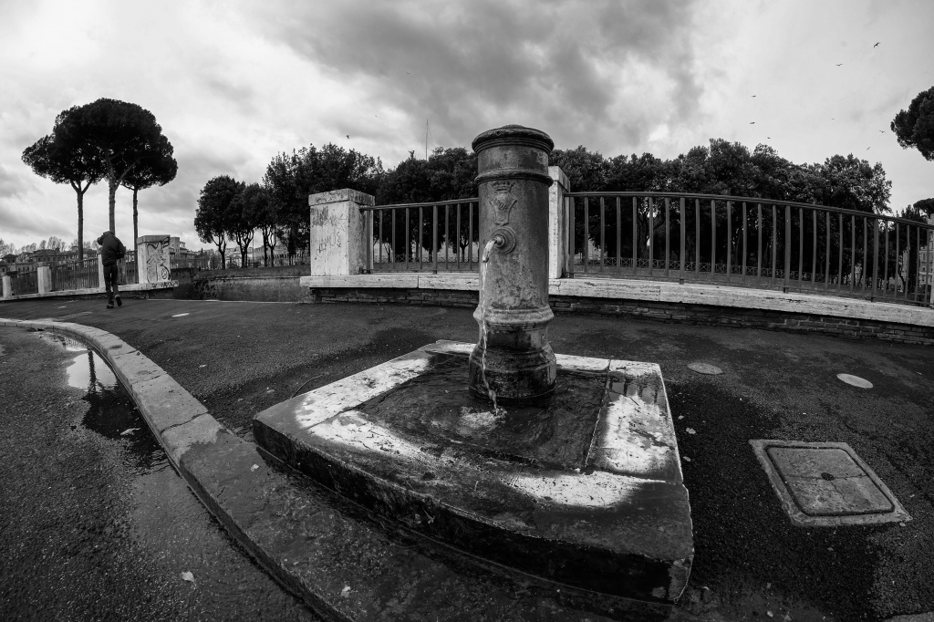 ROMA, Il Nasone
