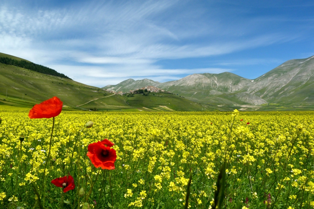 Primavera