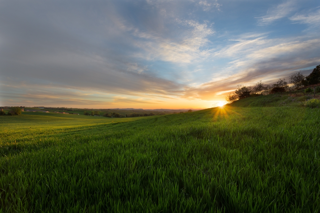 Tramonto in Val d'Orcia