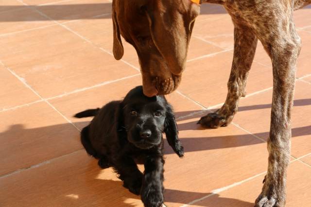 amore oltre