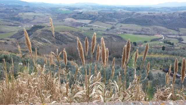 Toiano e le colline Pisane