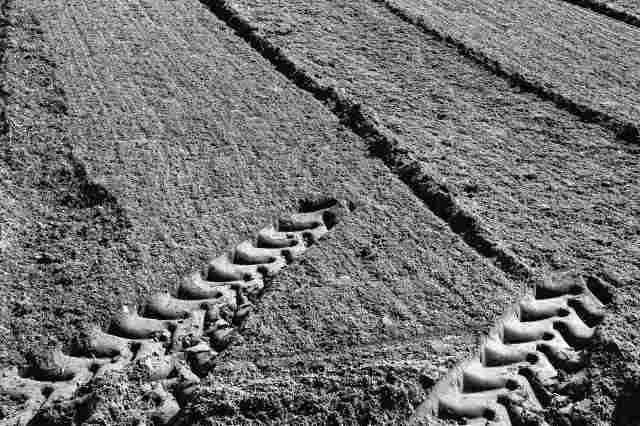 Impronte