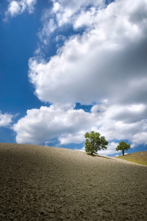 In the cloud