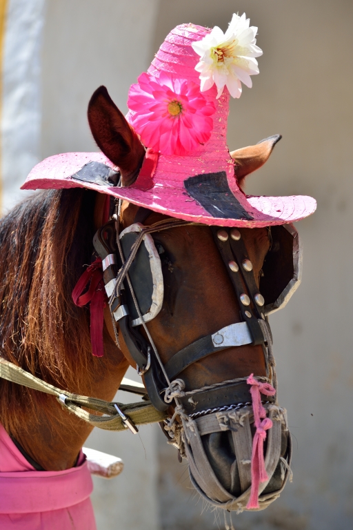 Il cappellino rosa