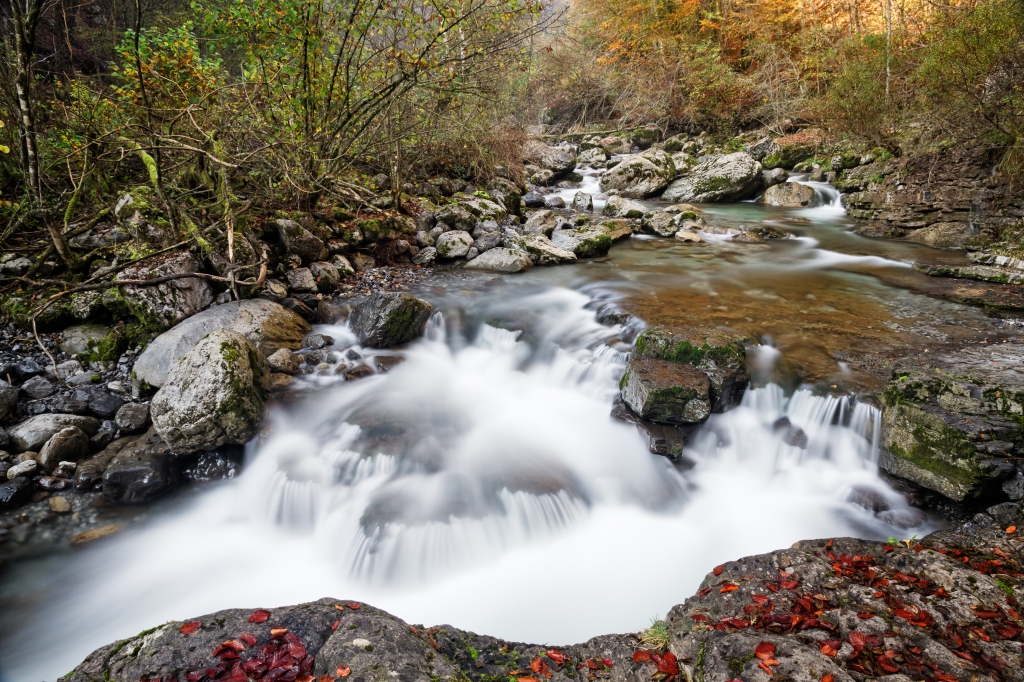 Plasticità autunnale