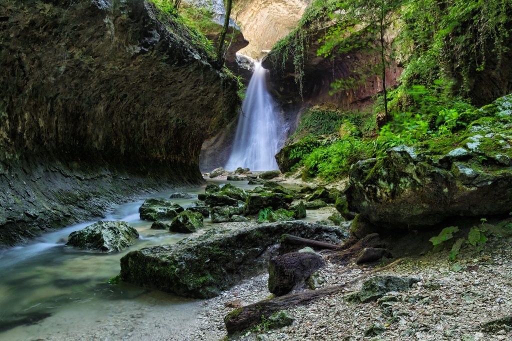 Jurassik Park