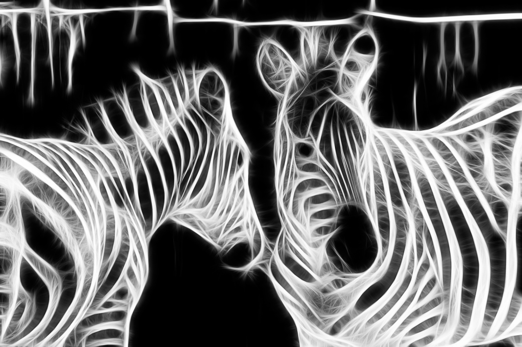 Zebre fantasma