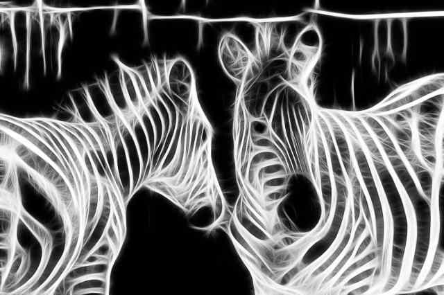 Zebre fantasma · andy4u71