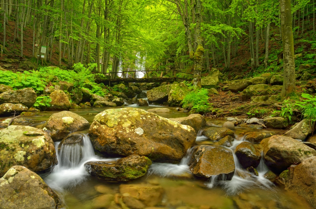 torrente di montagna