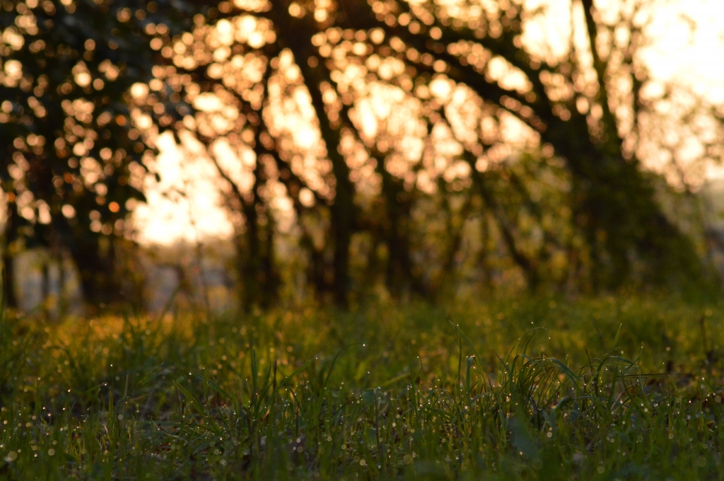 Natura e armonia