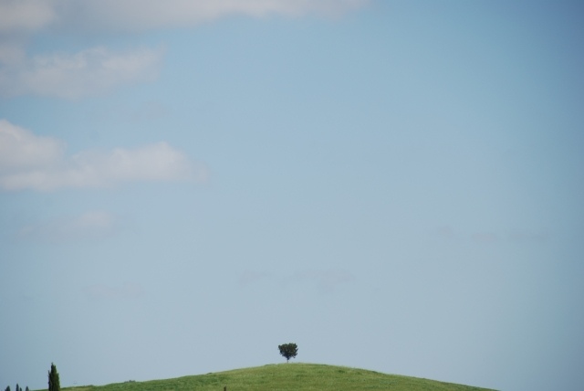 Solitario