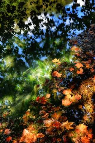 Autunno · marbas1