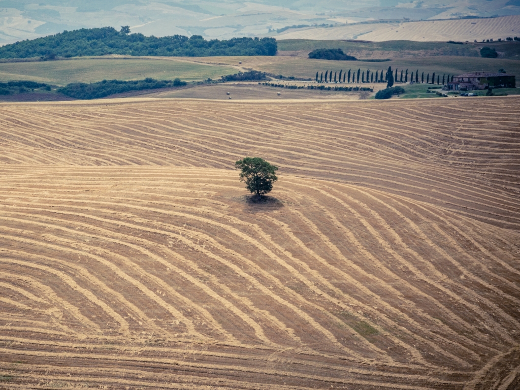 Campi e colline della Val d'Orcia