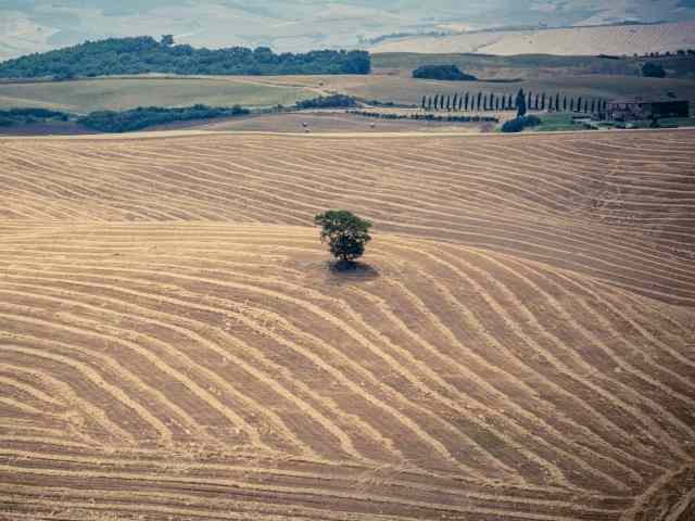 Campi e colline della Val d'Orcia