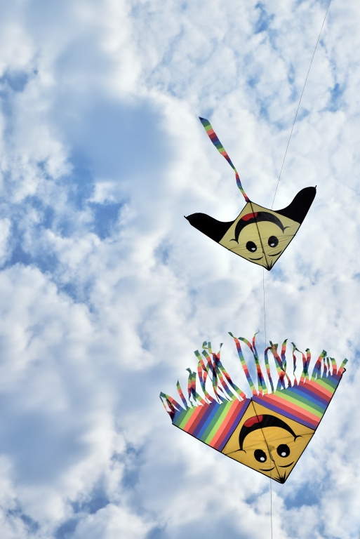 volare in coppia