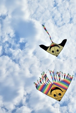volare in coppia