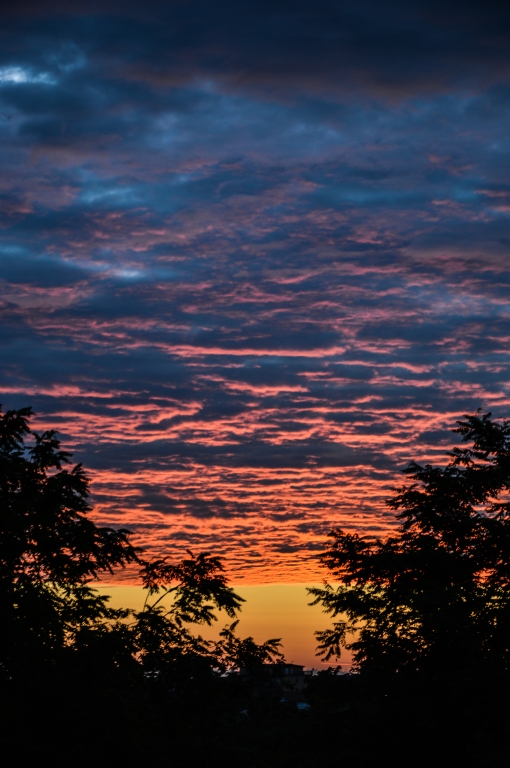 Sunrise