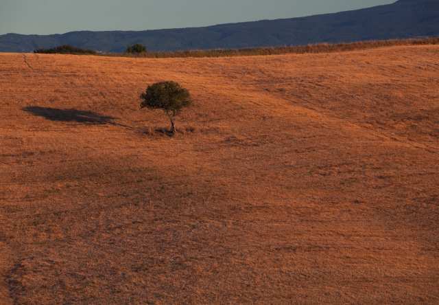 Orange shadows