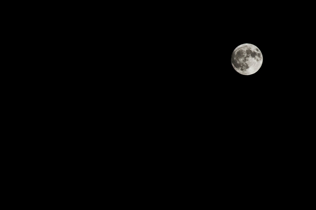 "Love you to the moon and back"