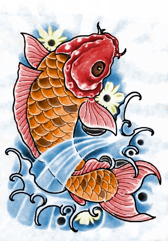 Koi