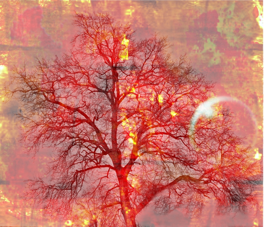red tree
