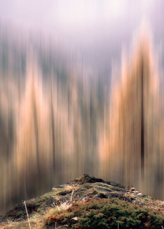 paesaggio