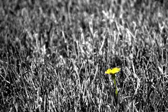 Distinguersi... · christianlegnaro