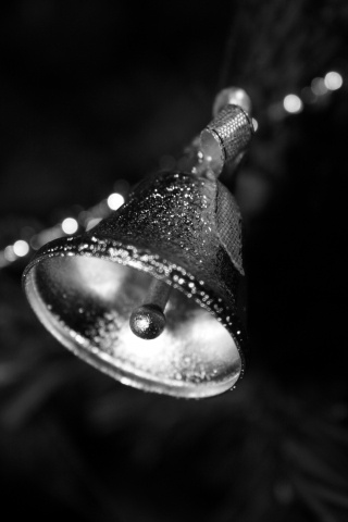 particolari del Natale · materni1974