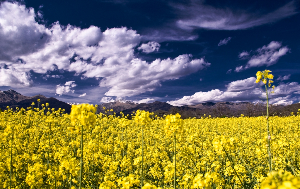 colori primaverili