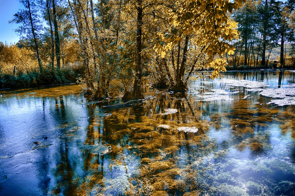 Riflessi d'autunno