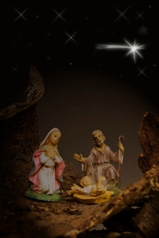 la Natività · silbongia