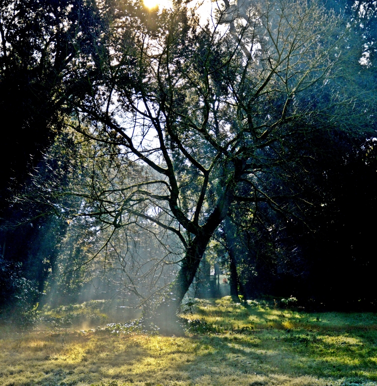 Mani di inverno