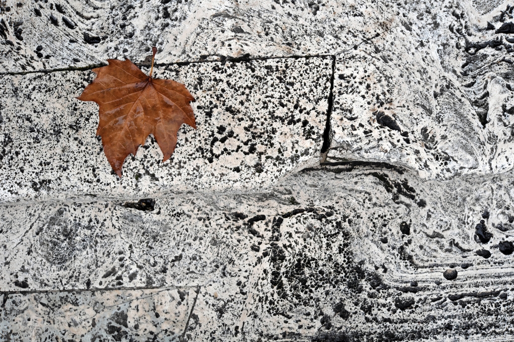Autumn on the stairs