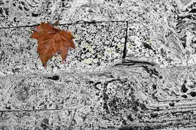 Autumn on the stairs · effemarini