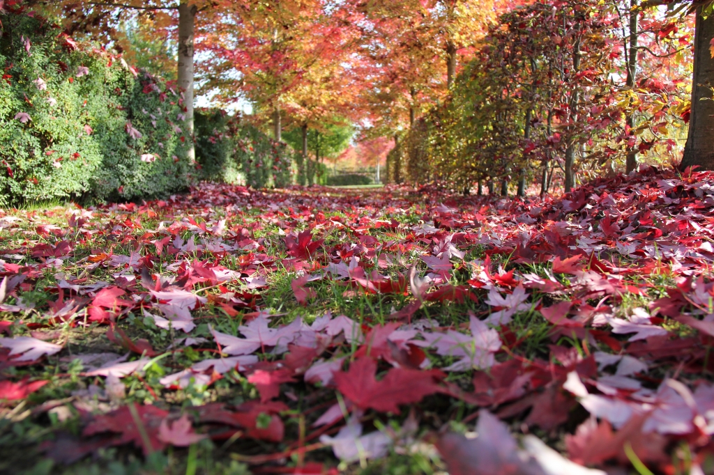 Autunno infuocato