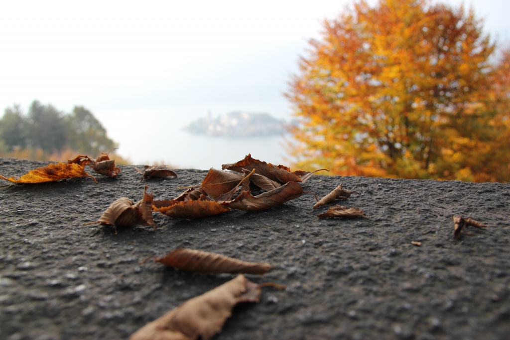 Autunno a Orta