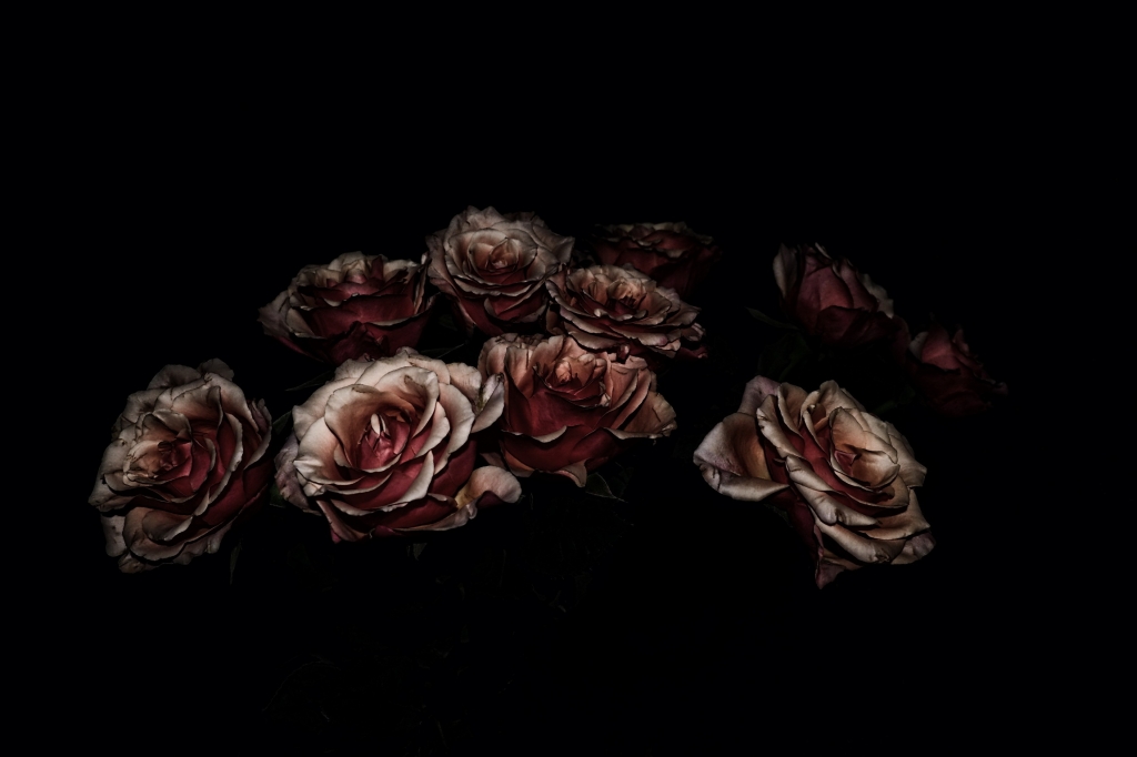 Roses for the desperate