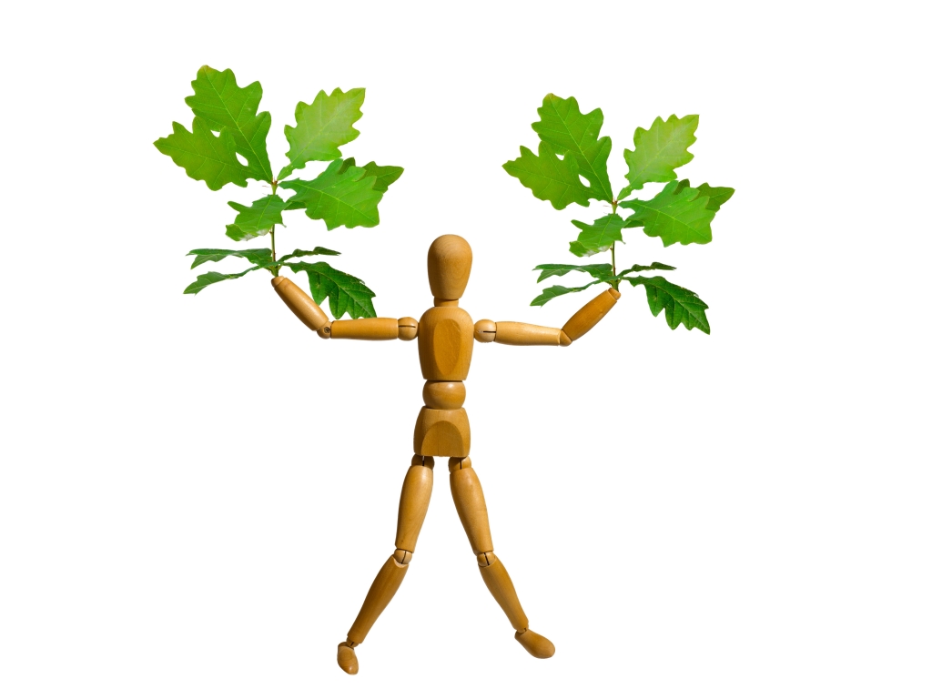 natura viva