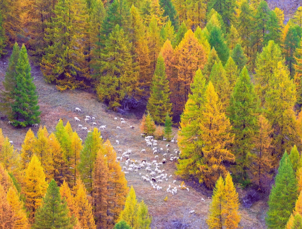 Autunno