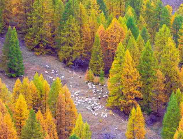 Autunno