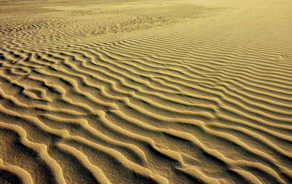 Il deserto del Namib