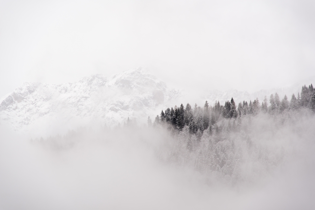 Neve