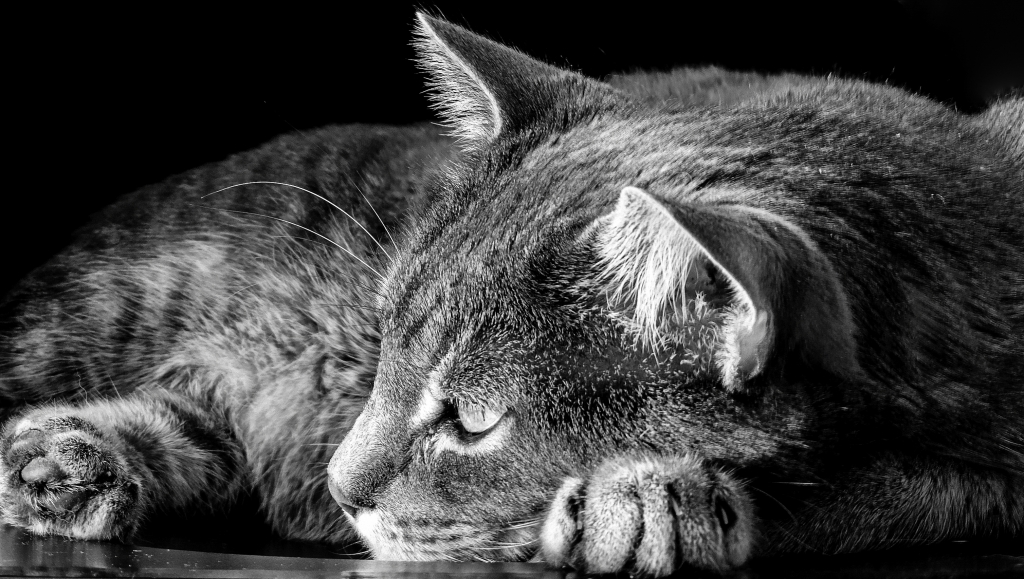 Mistero..