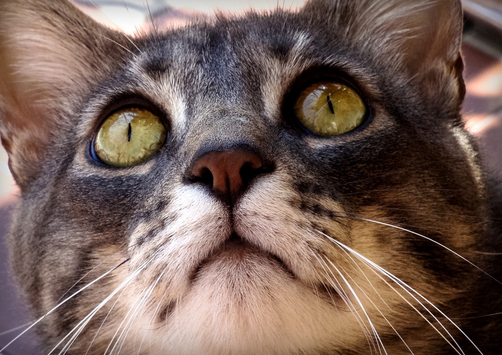 Sguardo..