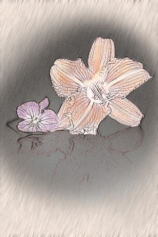 Fiori dipinti